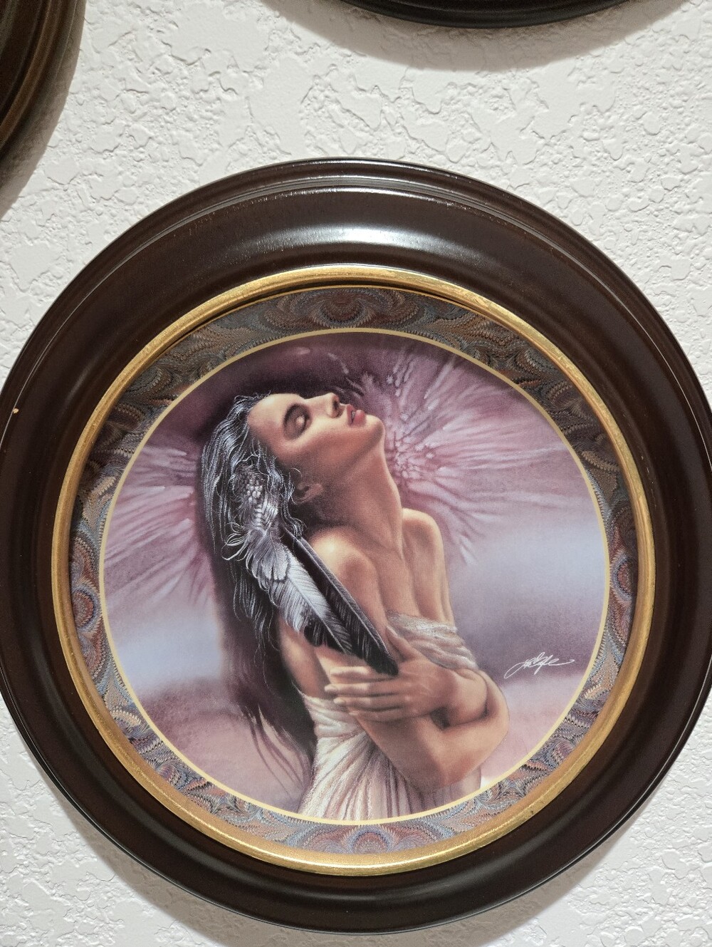 The Bradford Exchange Framed "Afterglow"